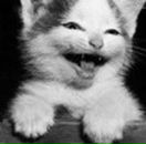 Соломія Ощіпко фотография #40 (источник - https://vk.com/id61428826)