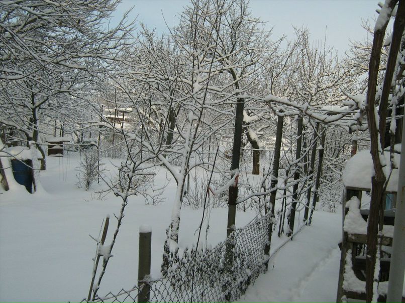 Сергей Кривко фотография #11