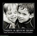 Фотография Титова Данилы