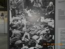 Лєрчик Онопрійчук фотография #36 (источник - https://vk.com/id124105058)