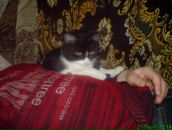 Бодя Сковрін фотография #5 (источник - https://vk.com/id115575152)