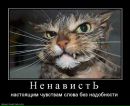 Дмитрий Петров фотография #11 (источник - https://vk.com/id23027459)