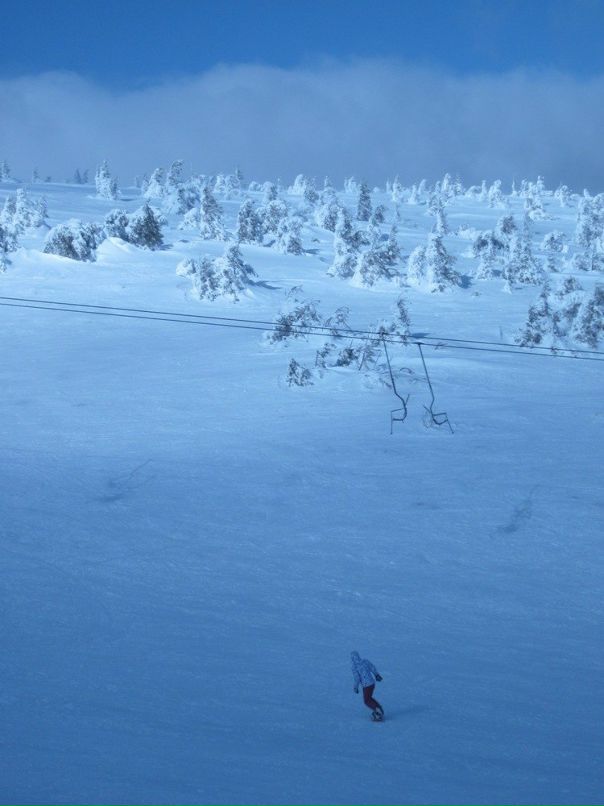 Darry Di фотография #30