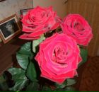 Фотография Богдановой Светланы