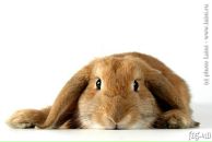 Фотография Остапцовой Алёны