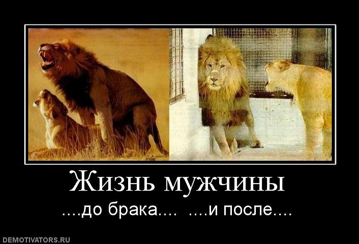 Антон Андреенко фотография #49