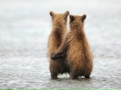 Фотография Точки Анны