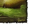 Dетk☼ ツ фотография #42 (источник - https://vk.com/id152994176)