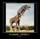 Фотография Васева Сергея