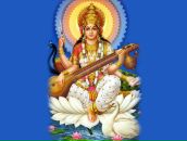 Фотография Рахманинова Александра