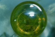 Фотография Ю Анюты