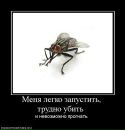 Андрій Бевз фотография #38 (источник - https://vk.com/id29059681)