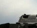Ярослав Загарія фотография #21 (источник - https://vk.com/id113487517)