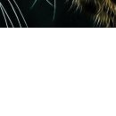 Ігор Шутурма фотография #10 (источник - https://vk.com/id122805674)