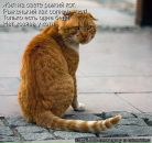 Фотография Кемарский Игорь