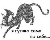 Фотография Бородиной Вероники