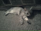 Фотография Забатуриной Арины