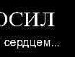 ღ→ ←ღ фотография #33 (источник - https://vk.com/id151607913)