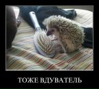 Давід Дзамулич фотография #34 (источник - https://vk.com/id56919286)