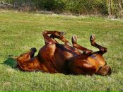 Фотография Галилова Юрия