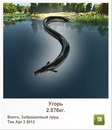 Ігор Пеля фотография #32 (источник - https://vk.com/id165591777)