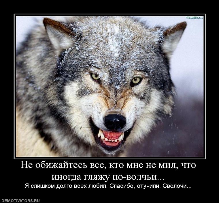 Евгений Катцин фотография #39