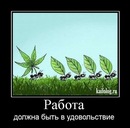 Angel_95_ Ua фотография #19 (источник - https://vk.com/id112486693)
