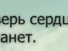 Katka =* фотография #3 (источник - https://vk.com/id150418902)