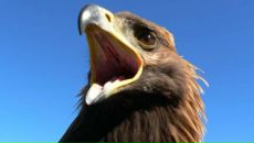 Фотография Швечков Илья