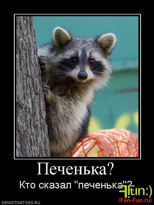 Антон Фин фотография #2