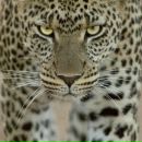 Дмитрий Иванов фотография #8 (источник - https://vk.com/id7753264)