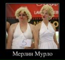 Дима Вегера фотография #33 (источник - https://vk.com/id27534833)