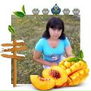 Фотография Сологуб Аллы