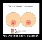 Рустам Садыков фотография #49 (источник - https://vk.com/id3060273)