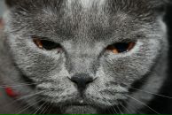 Фотография Применко Юлии