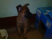 Роман Ситников фотография #50 (источник - https://vk.com/id29539)