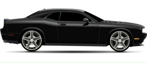 Руслан Бордіян фотография #38 (источник - https://vk.com/id67069510)