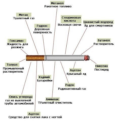 №19, Дарья Кулик, Москва, Россия №19, Дарья Кулик, Москва, Россия