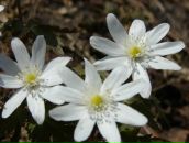 Фотография Рочевой Елены