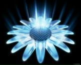 Фотография Волковой Любови