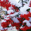 Коля Іванов фотография #16 (источник - https://vk.com/id96575719)