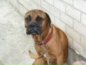 Діма Куцан фотография #3 (источник - https://vk.com/id166378020)