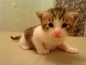 Фотография Котовой Александры