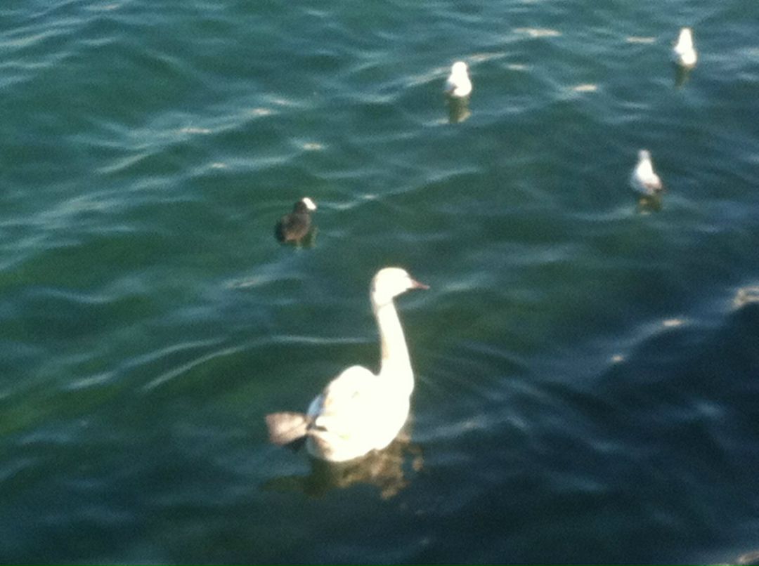 Sa Na фотография #28