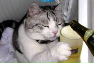 Фотография Малышева Дениса