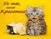 Надія Гудима фотография #46 (источник - https://vk.com/id132955007)