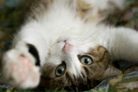 Фотография Мироновой Елены