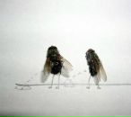 Фотография Токмакова Артема