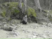 Фотография Шебалкиной Татьяны