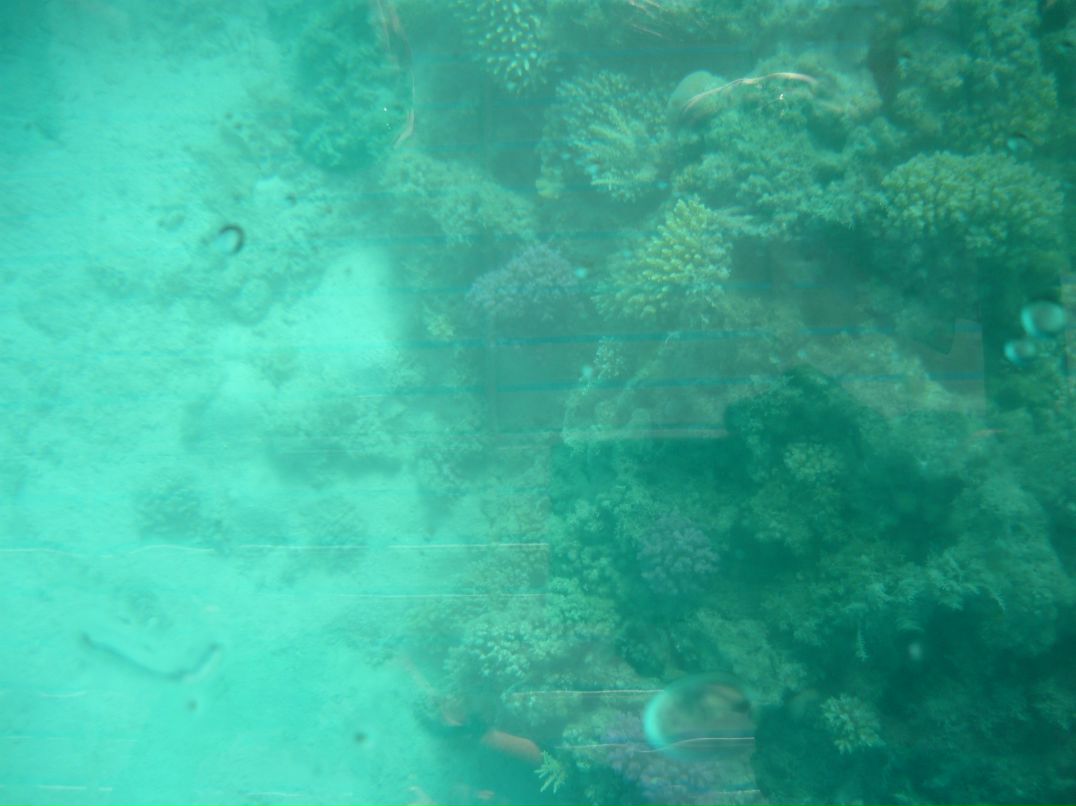 Андрей Савельев фотография #31